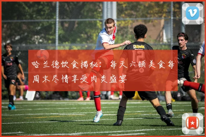 哈兰德饮食揭秘：每天六顿美食每周末尽情享受肉类盛宴